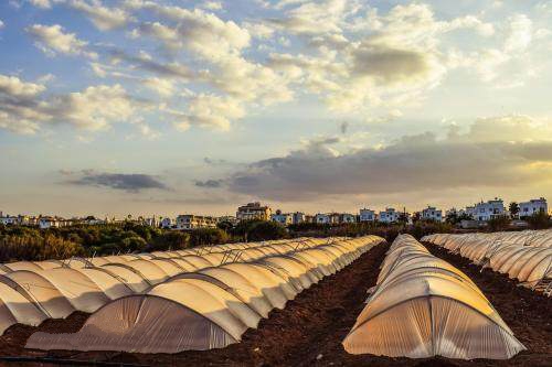 農(nóng)業(yè)與互聯(lián)網(wǎng)的相互滲透，一場改變正在席卷全國